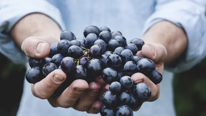 [Bintang] 5 Zodiak Paling Dermawan, Mereka Hobi Banget Beramal