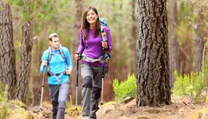 Trekking Pole Lipat untuk Hiking, Teman Praktis untuk Pemula Menjelajahi Jalur Pendakian