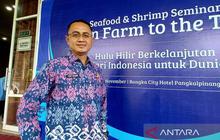 DKP Babel Gandeng Swasta Kembangkan Budidaya Udang Vaname Hulu-Hilir, Optimalkan Potensi Pesisir
