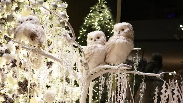 Sambut Natal, Ini 7 Potret Dekorasi Rumah Sandra Dewi Bertema White Christmas.