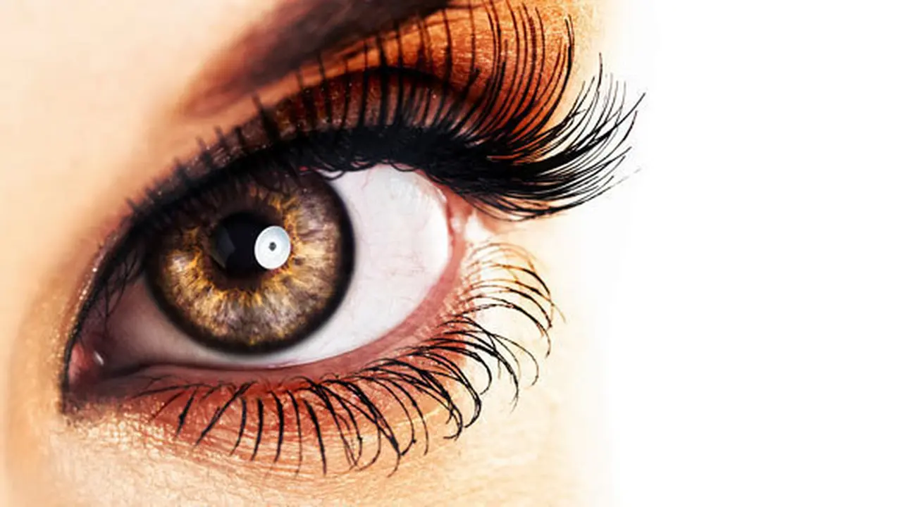 (C) shutterstock