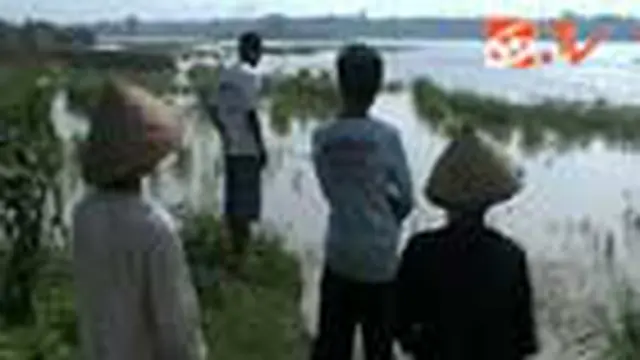 Banjir Lahar Dingin Genangi Sawah Warga