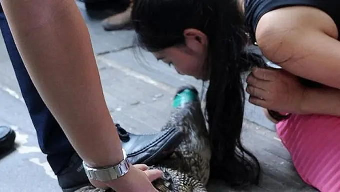 Photo: Copyright dailymail.co.uk