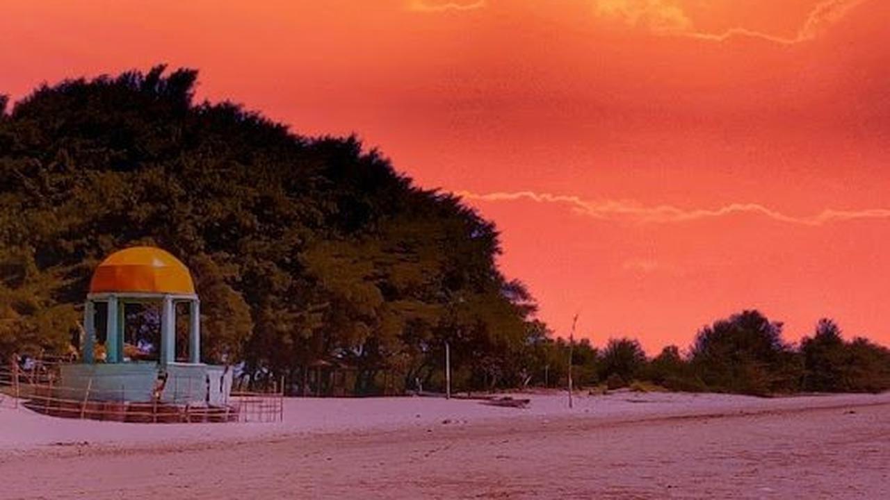 Pantai Lombang, Surga di Ujung Timur Pulau Madura dengan Hamparan Pasir Putih Dikelilingi Pohon Cemara
