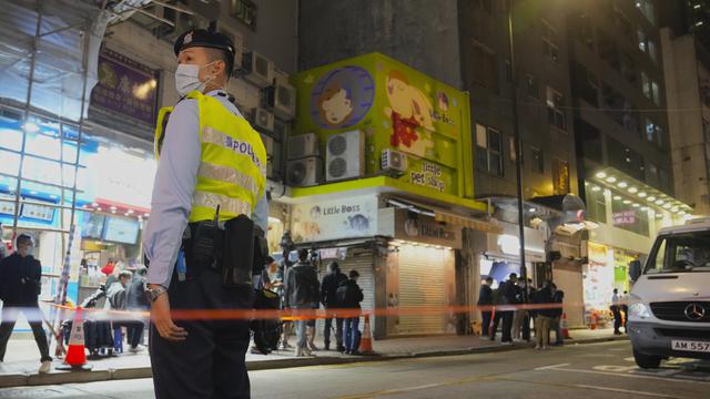 Hamster di Hong Kong Akan Dimusnahkan Terkait Infeksi Covid-19