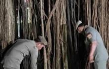 Hutan Kota Cawang jadi Tempat Kumpul LGBT Bukan Milik Pemprov DKI, Ternyata Ini Pemiliknya