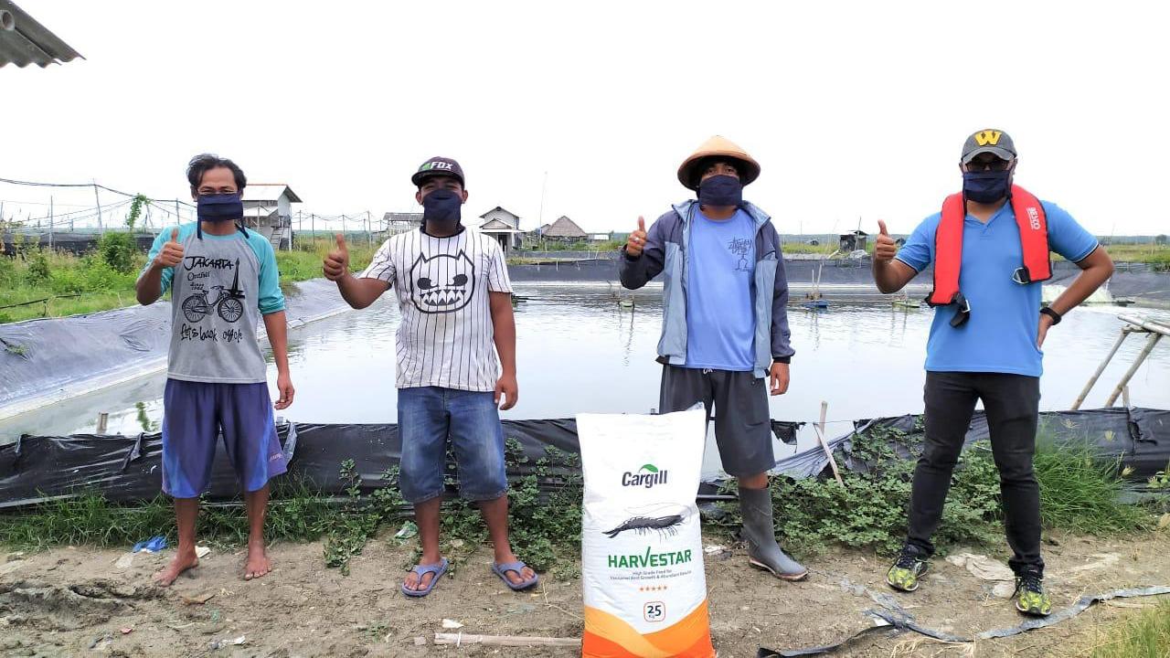 Pembudidaya udang di Indonesia kini dapat meningkatkan hasil panennya.
