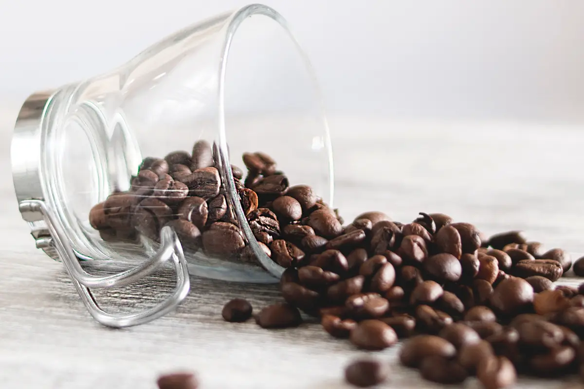 kopi