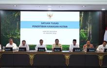 Jenis Pelanggaran 28 Perusahaan Hutan dan Tambang yang Izinnya Dicabut Presiden Prabowo