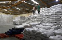 Siapa Minat? PT Food Station Gelar Seleksi Terbuka untuk Posisi Dirut hingga Direktur Operasional