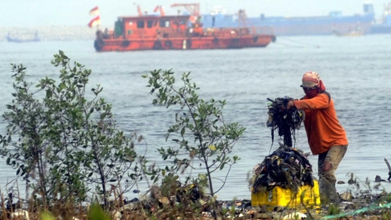 Melihat aksi para penjaga kebersihan pantai