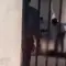 Viral Video Pria Diduga Dicambuk di KPPG Bogor