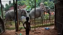 Seorang anak melihat dua ekor gajah melintas untuk melakukan penggusuran di Suaka Margasatwa Amchang di pinggiran Gauhati, India (25/8). (AP Photo/Anupam Nath)