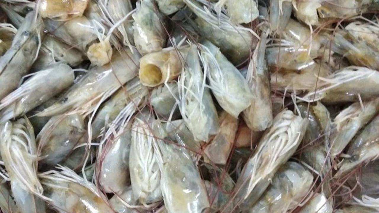 1.&nbsp;Kepala Udang Segar: Kekayaan Dalam Kulit dan Kepala