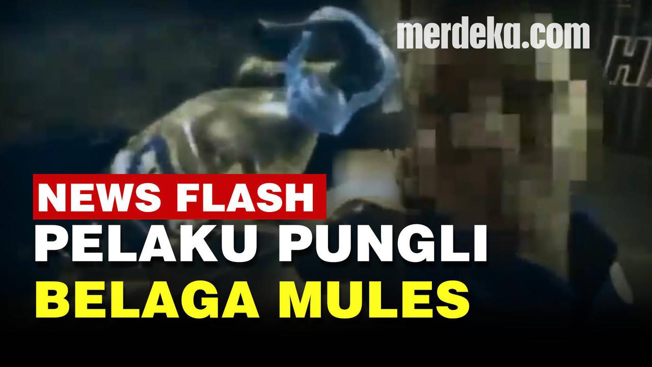 VIDEO: Terungkap Modus Licik Pelaku Pungli di Tanjung Priok