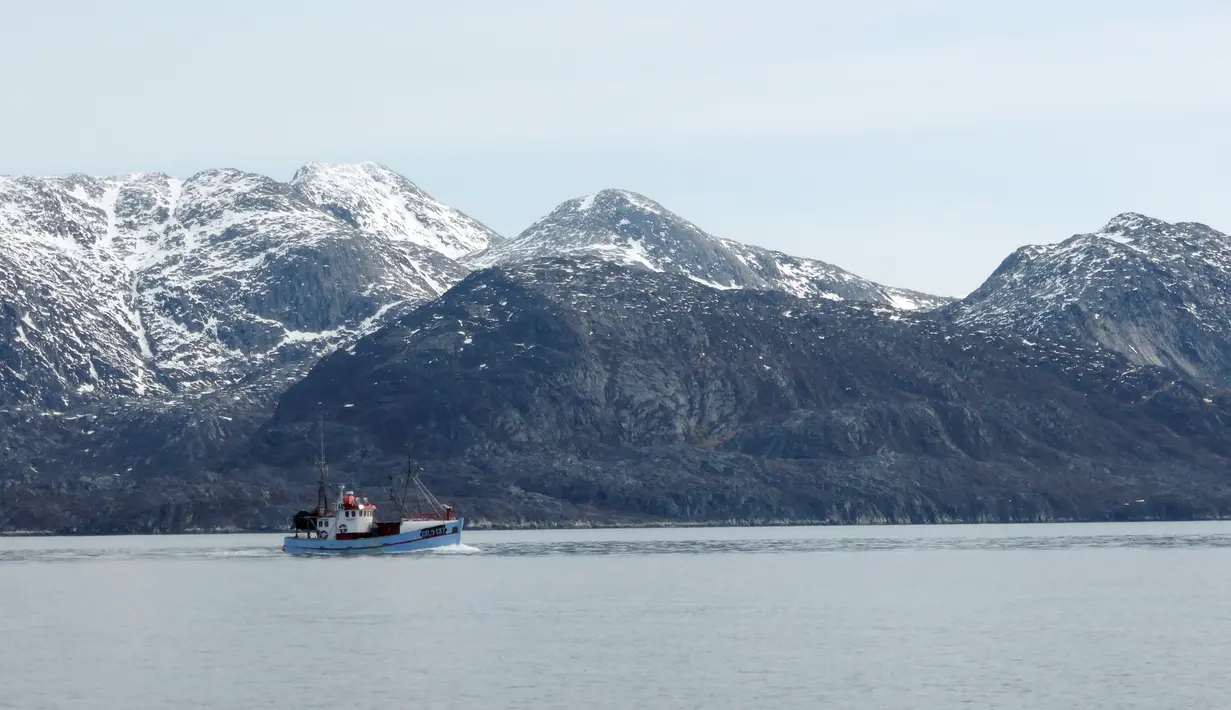 Suasana laut di Nuuk, Greenland, 2 Juni 2016. Bongkahan es tersebut berasal dari gunung es yang mancair akibat cuaca panas terus-menerus di Greenland. (REUTERS / Alister Doyle)