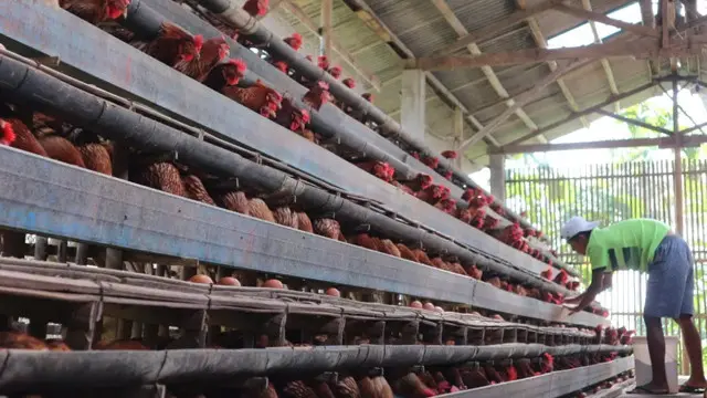 Cerita Inspiratif Tentang Biogas dan Limbah Pabrik Tahu di Desa Urutsewu