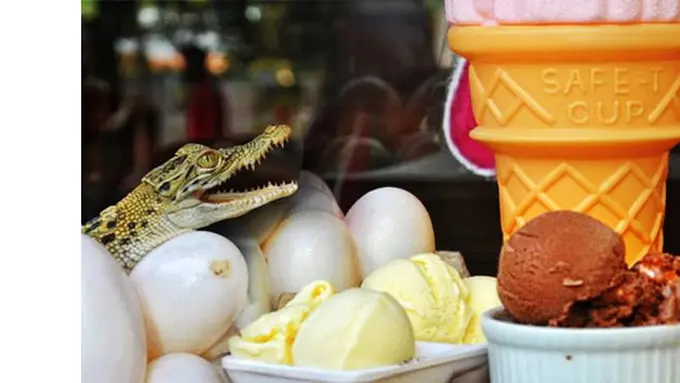 Foto: copyright en.rocketnews24.com