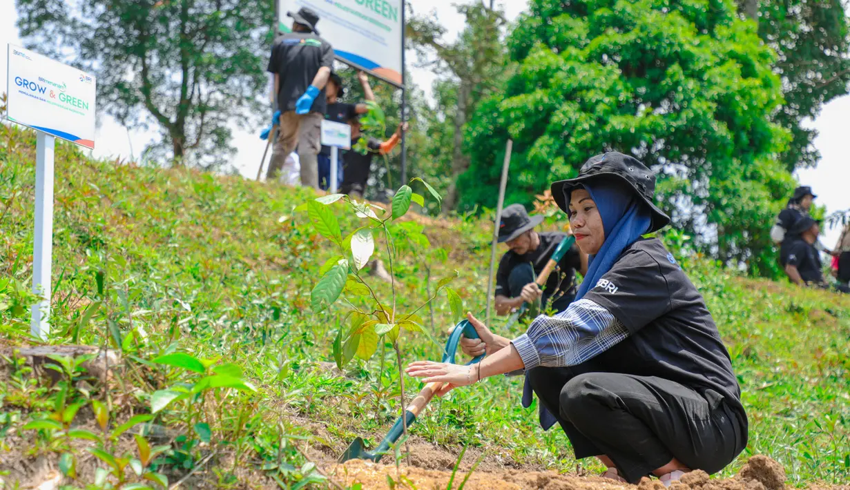 Kerja keras lebih dari setahun mulai membuahkan hasil. Rasman mampu merangkul sejumlah warga untuk bergabung sebagai kelompok tani hutan. "Dulu mereka anggota kelompok tani juga penambang seperti saya. Kita tidak bisa melarang dan memaksa mereka berhenti, sehingga perlu cara lain agar mereka tetap bisa mendapat penghasilan," ujarnya. (Foto: Dokumentasi BRI)