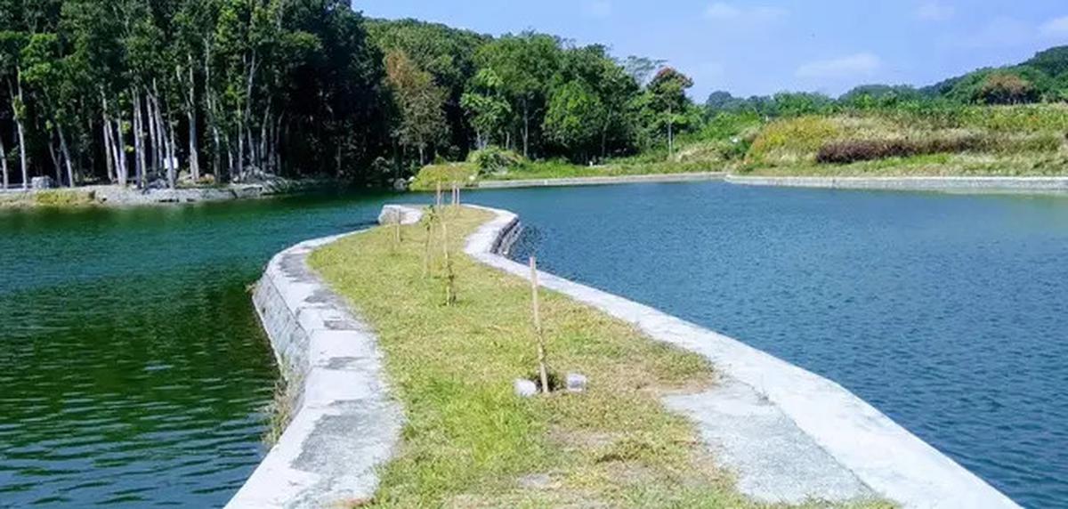 12 Rekomendasi Spot Mancing Nyaman 2025 di Kediri, Cocok Buat Pemancing Pemula &amp; Pro