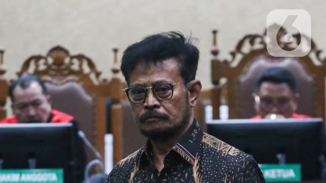 Raut Wajah Syahrul Yasin Limpo usai Divonis 10 Tahun Penjara