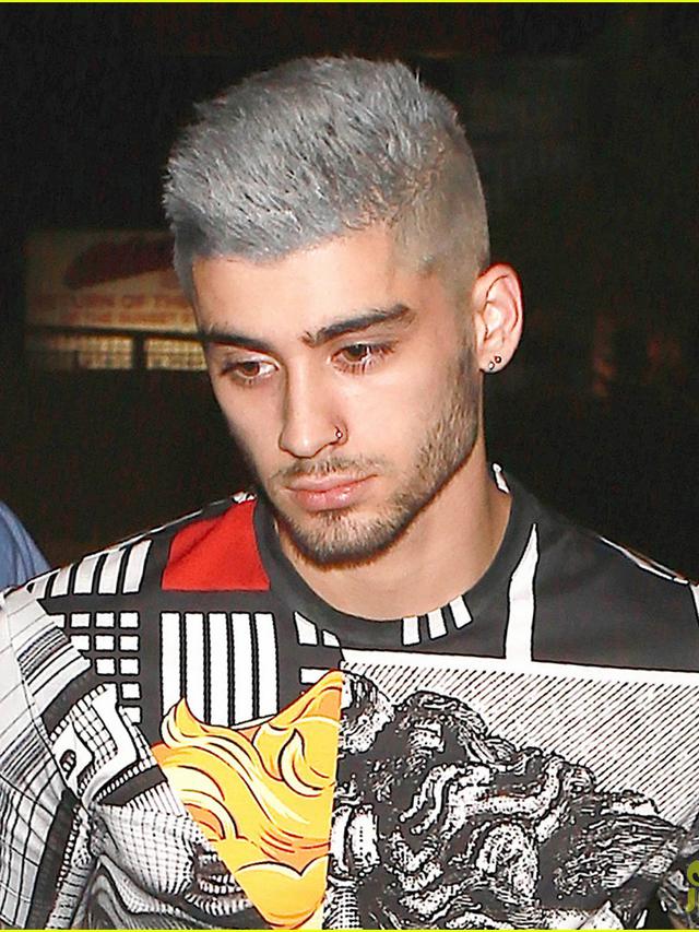 Setelah Zendaya, Zayn Malik Jatuh Hati Pada Model India ...