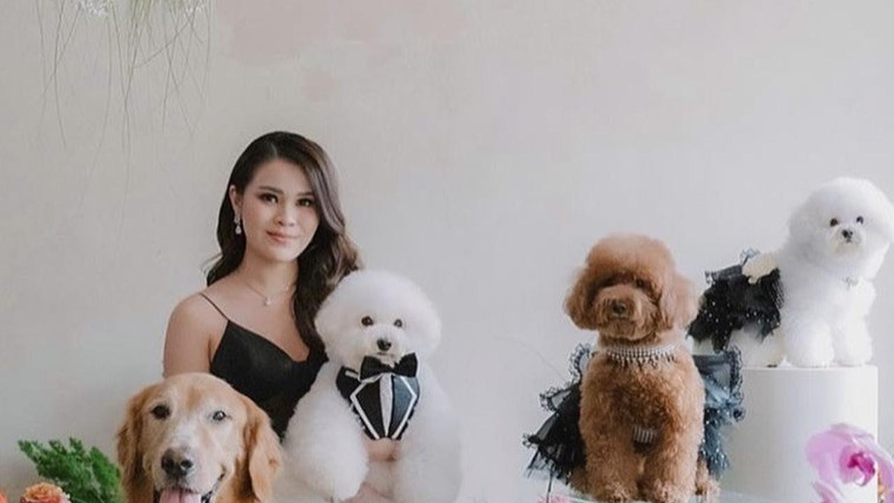 Sosok menantu Hotman ini rupanya seorang pencinta binatang. Ia juga memiliki empat anjing peliharaan.