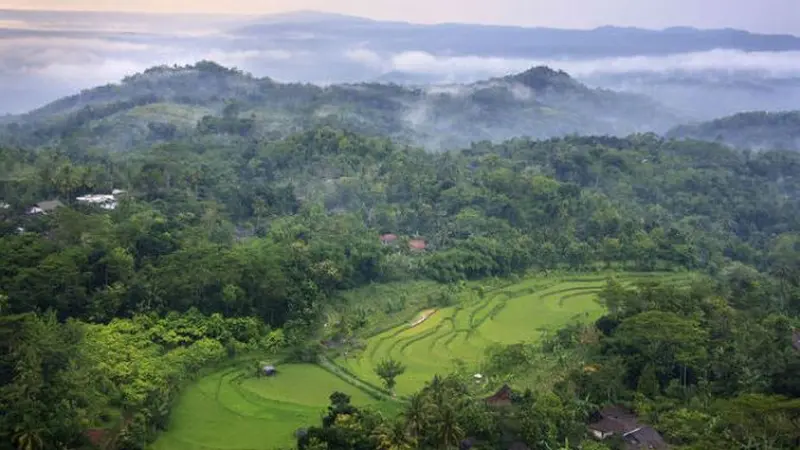 Desa Nglanggeran di Kabupaten Gunung Kidul, Yogyakarta