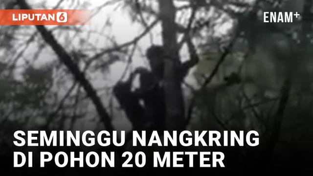 Viral! Pria Pekalongan Sepekan Nangkring di Pohon 20 Meter