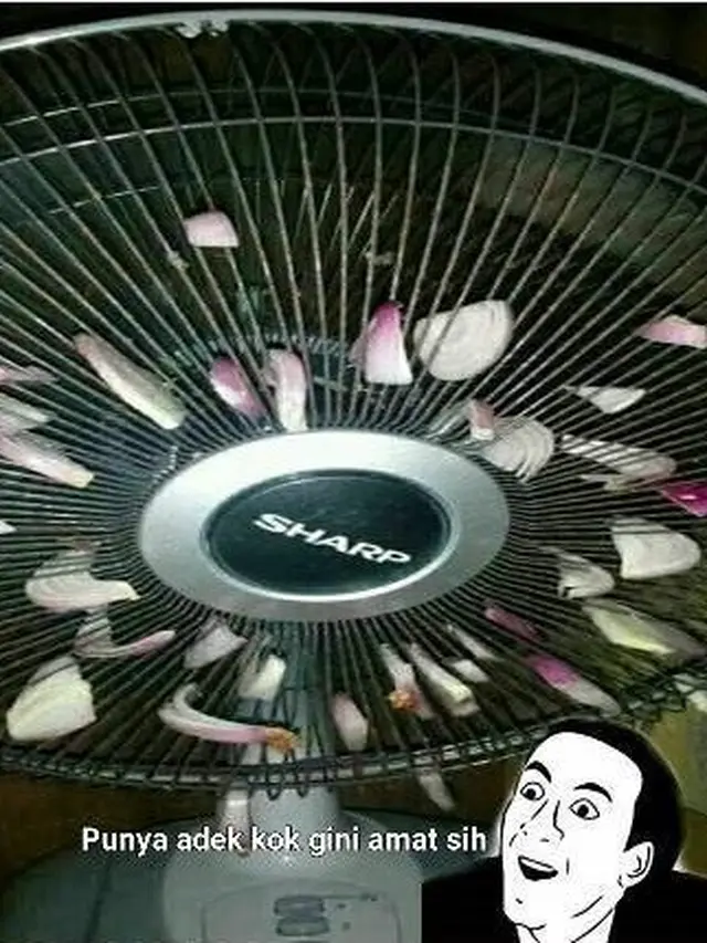 6 Gantungan Pengharum Ruangan di Kipas Angin Ini Nyeleneh Banget, Kocak
