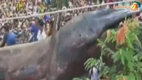 [VIDEO] Hewan Misterius Mirip Cacing Raksasa Gegerkan Kamboja