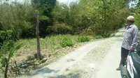 Lokasi RT 5 Kampung Singomodo di Desa Kandangsapi Jenar Sragen yang sebagian didominasi pekarangan kosong dan pepohonan rimbun. (Foto: Liputan6.com/joglosemarnews.com//Wardoyo)