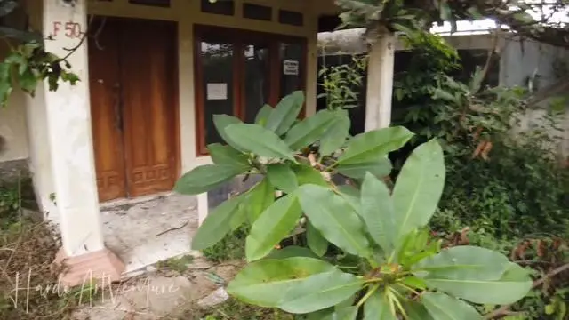 Potret Rumah 6 Artis yang Kini Terbengkalai, Milik Mendiang Suzanna Tumbuh Pohon Bambu