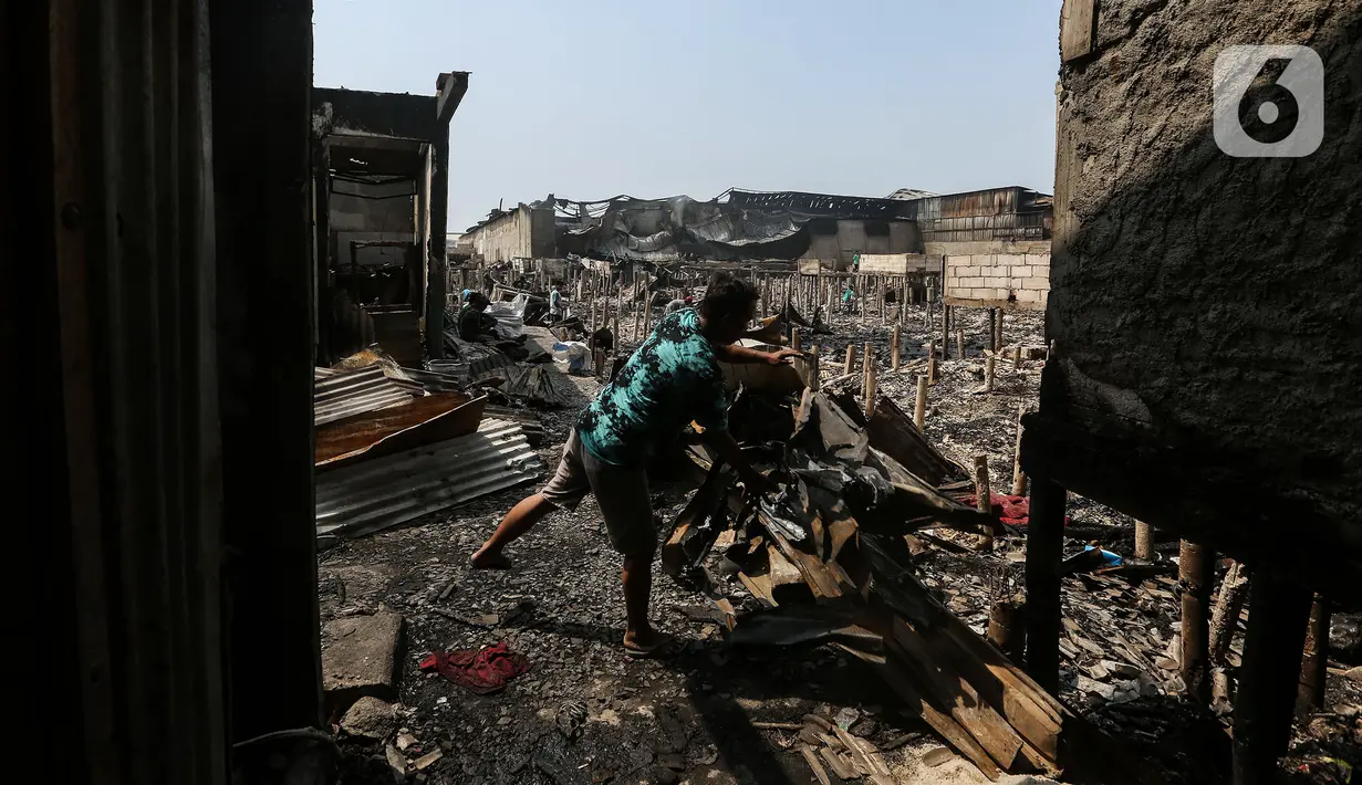 Sebelumnya, kebakaran terjadi di permukiman warga di Kapuk Muara, Penjaringan, Jakarta Utara, kemarin. Akibatnya ratusan rumah terdampak. Sebanyak seribuan orang dilaporkan mengungsi imbas kebakaran tersebut. (Liputan6.com/Johan Tallo)