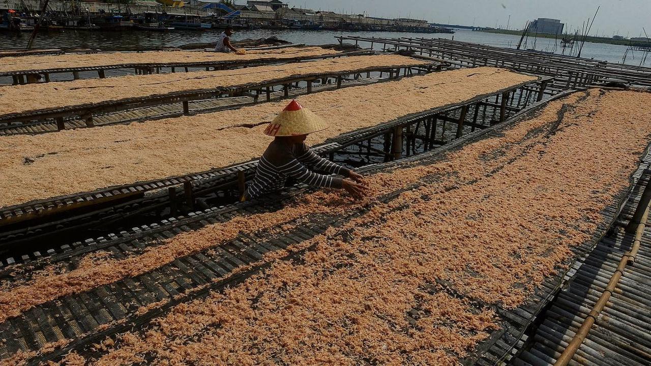 Untuk pasaran harga per kilogram Rebon Kamal biasanya dijual dengan harga Rp18 ribu hingga Rp25 ribu dan dipasarkan ke Medan, hingga ke kota-kota besar lainnya di Kalimantan dan Sulawesi.