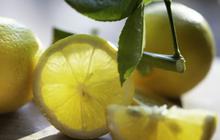 7 Tips Menyimpan Jeruk dan Lemon agar Wangi dan Tidak Mengering, Tahan Segar Lebih Lama