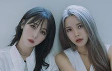 Tak Harus Belasan Tahun, Ini Idol yang Debut di Usia 20-an, Mana Idol Favoritmu?