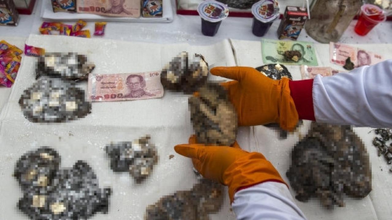 Pembongkaran ribuan makam tak dikenal di Thailand