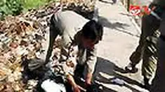 Kambing liar di Madura, Jatim, mengganggu warga. Satpol PP pun dikerahkan berburu kambing liar dan pemiliknya harus menebus ke kantor kelurahan. 
