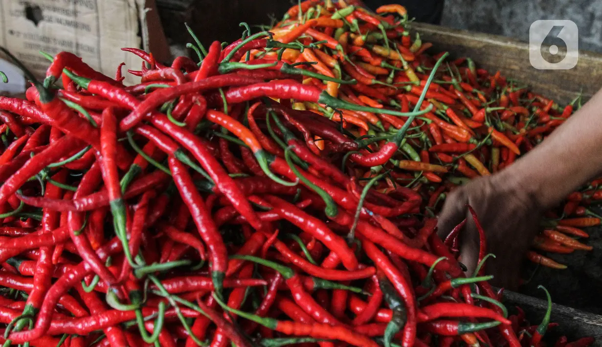 Pedagang kebutuhan pokok khususnya cabai merapikan di Pasar Kebayoran Lama, Jakarta, Rabu, (13/7/2022). Untuk harga setengah kilogramnya kisaran Rp 70.000, untuk harga cabai rawit Rp 120.000 per kilogram. (Liputan6.com/Johan Tallo)
