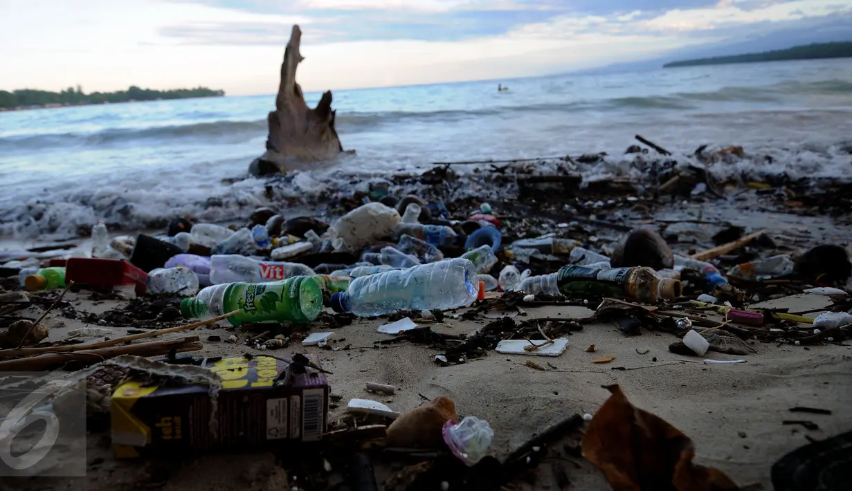 Sisa botol minuman berserakan di pantai Pasir Putih, Manokwari, Papua Barat, Senin (15/8/2016). Kondisi ini bisa mengurangi daya tarik wisatawan lokal maupun mancanegara menikmati keindahan alam Papua Barat. (Liputan6.com/Helmi Fithriansyah)