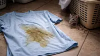 Cara Membersihkan Kencing Tikus di Pakaian, Kembali Bersih dan Wangi