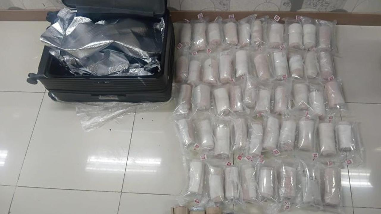 Polisi Bandara Soetta Ungkap Penyelundupan Benih Lobster Senilai Rp2 Miliar