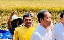 Janji Jokowi ke Petani: Subsidi Pupuk Akan Saya Tambah