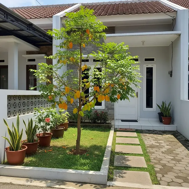 13 Pohon Buah Mini untuk Rumah Tipe 36 Tinggi di Bawah 2 Meter, Bikin Hunian Asri