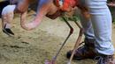 Penjaga membantu flamingo berjalan dengan kaki palsunya di Kebun Binatang Sorocaba, Brasil, Rabu (1/7/2015). Flamingo Chile dipasangi kaki palsu karena bagian bawah kaki kirinya yang mengalami patah tulang telah diamputasi. (REUTERS/Paulo Whitaker)