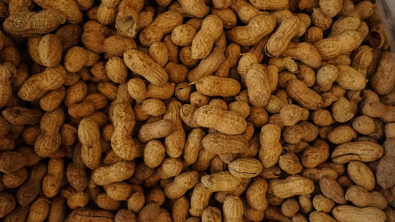 Kacang Tanah