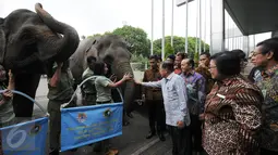 Wakil Presiden Jusuf Kalla (tengah) mengusap belalai seekor gajah jelang membuka Pekan Lingkungan Hidup Kehutanan 2016 di Jakarta, Kamis (9/6/2016). Pekan Lingkungan Hidup Kehutanan 2016 juga dimeriahkan dengan mini zoo. (Liputan6.com/Helmi Fithriansyah)