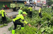Antisipasi Cuaca Ekstrem, Pemangkasan Pohon Jakarta Barat Giatkan Penertiban
