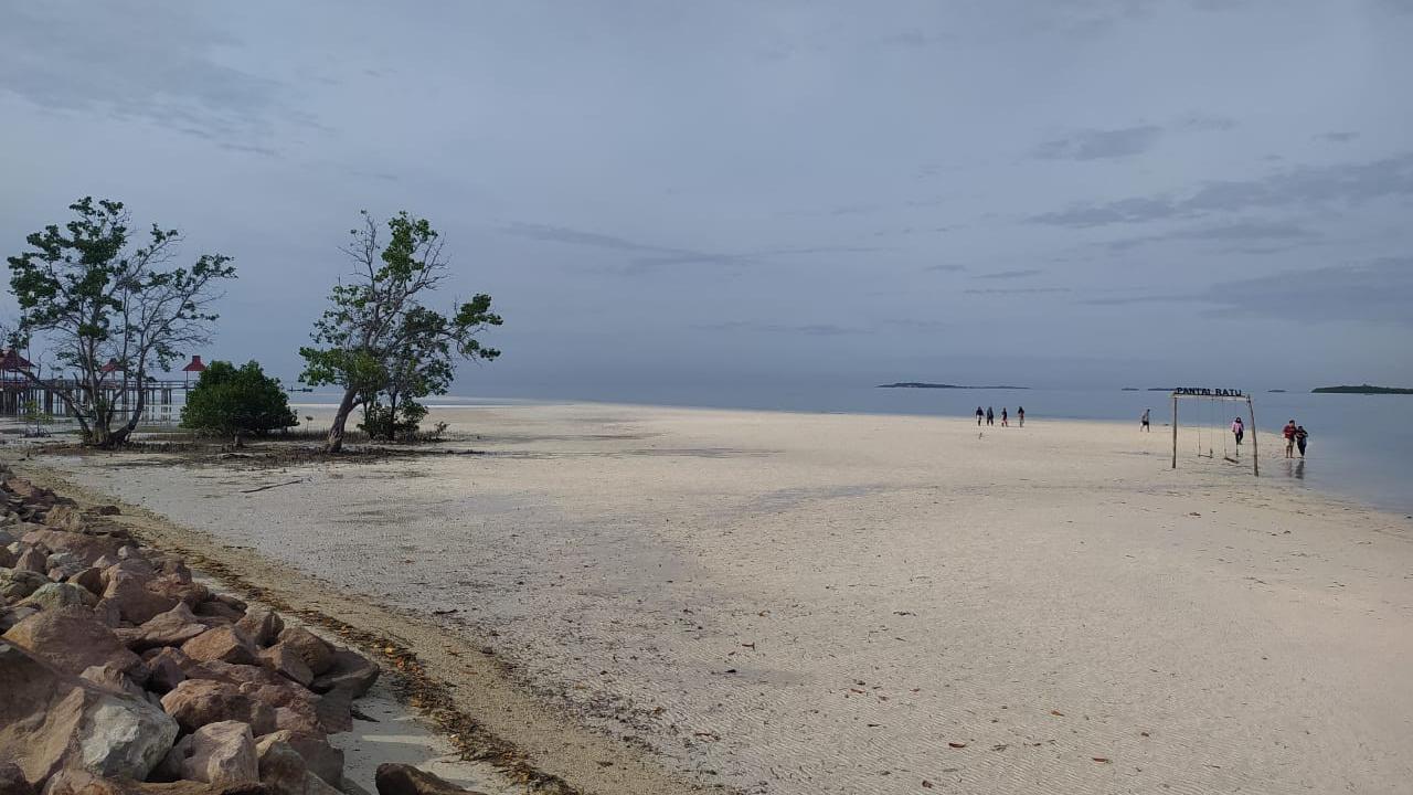 Hamparan pasir putih sembari ditemani  burung Flamingo di Pantai Ratu Boalemo (Arfandi/Liputan6.com)